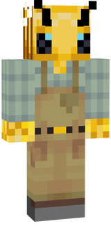 Nivelac_2