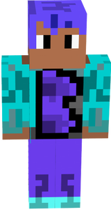 bomber skin