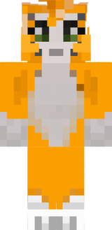 gato