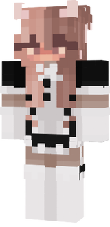 Sany