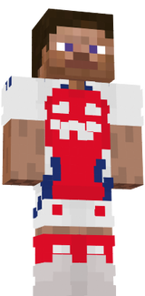 arsenal steve