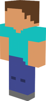 steve 2D