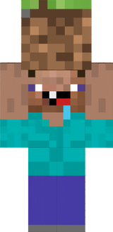 steve stupido
