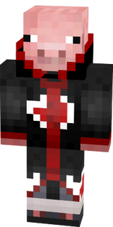 skin porco