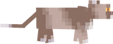 Coco 1