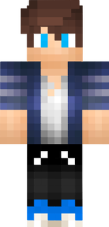 ArcStriderPro Official Skin