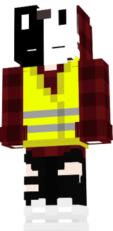gilet jaune