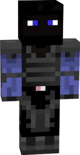 ninja steve