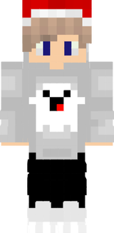 DSAW