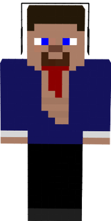 SYNECEK11