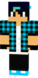 SD