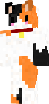 calico cat