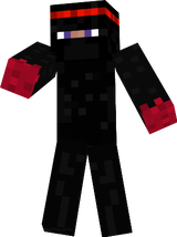 ninja