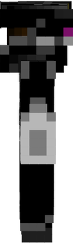 BUG2 full gear