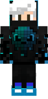 skin