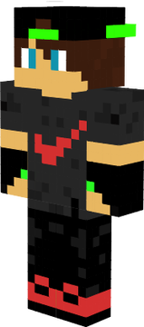 skin