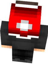 case 