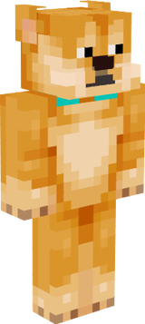 dogima