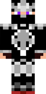 THENINJAISREADY SKIN FIX