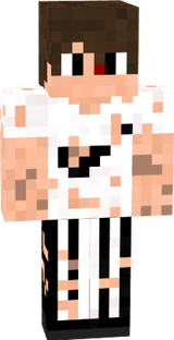 steve
