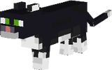 cat_black