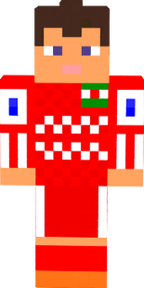 Nike SKiN
