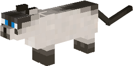 Preview of texture: kitty