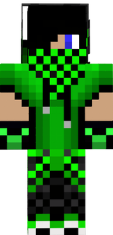 skin