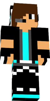 wer