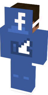 Mr. Facebook