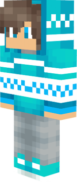 RaksuPro T