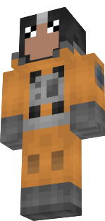 aidin