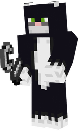 black_cat