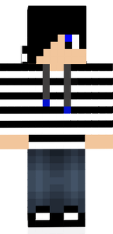 ZebraBoyV2