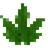 whead