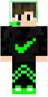 skin minecraft