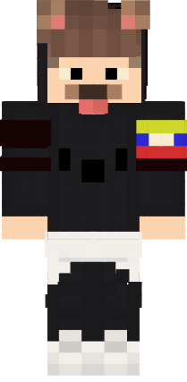 Preview of texture: COLLINKB24