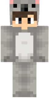 boy koala