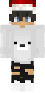 skin minecraft
