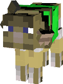 Sam