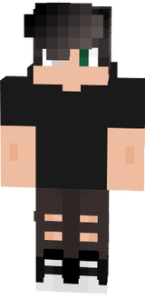 steve