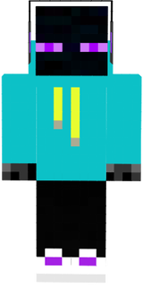 Sanser