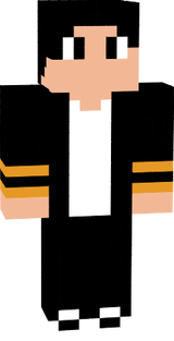 ReverseSkin