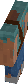 Steve survivor