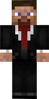 mr steve