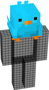 passaro