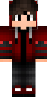 EnderDragon