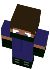 steve