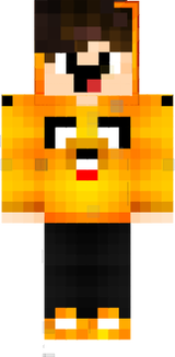 lesgal