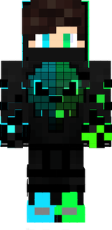 skin